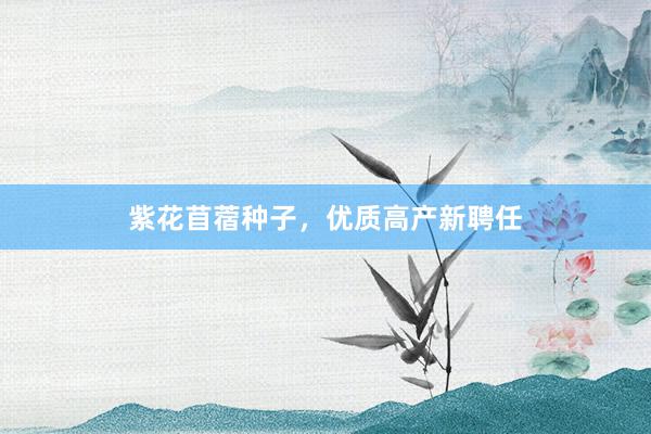 紫花苜蓿种子，优质高产新聘任
