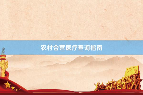 农村合营医疗查询指南
